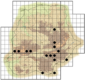 Halleria lucida Waterberg distribution